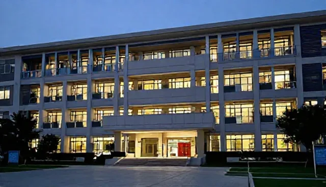 账号代运营：应用场景分析与发展趋势